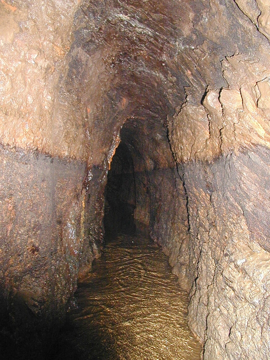(3)